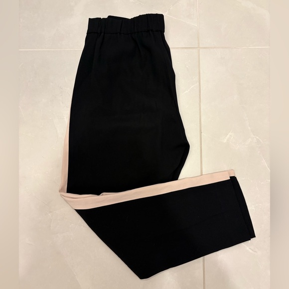 Aritzia Babaton - Terado Conan Pant - Picture 4 of 6